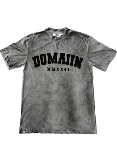 Domain Skull Acid Wash Tee Image