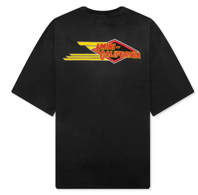 AMIRI Eagle Oversized tee