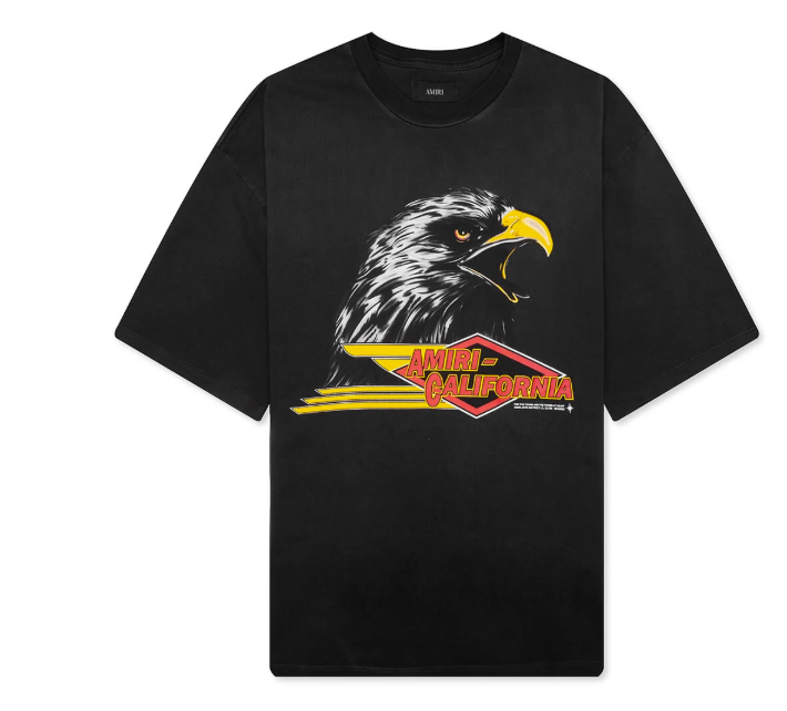 AMIRI Eagle Oversized tee