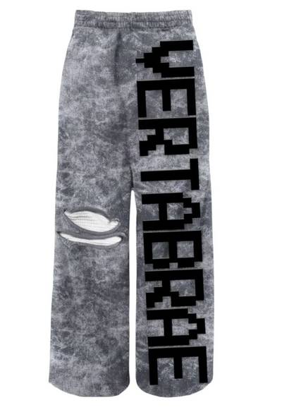 Vertabrae C-2.0 Ash Sweatpant Image
