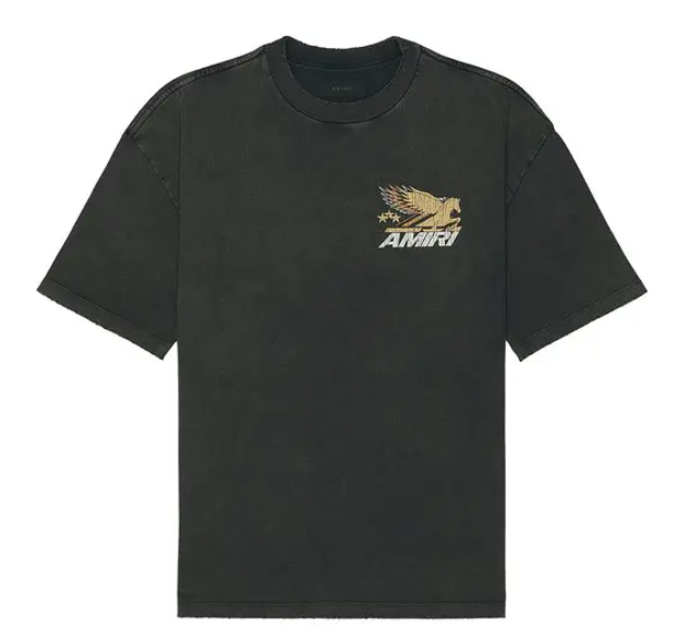 Amiri Pegasus Oversized tee
