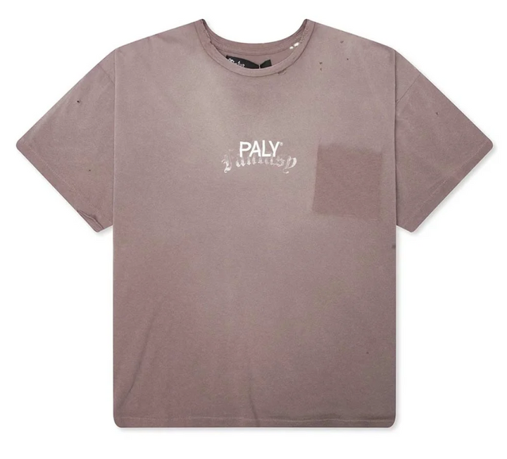 Paly Hollywood Core Logo Faded Brown Tee Jersey